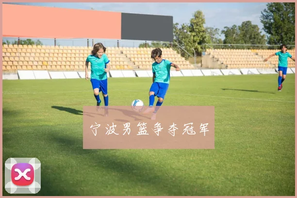 宁波男篮争夺冠军
