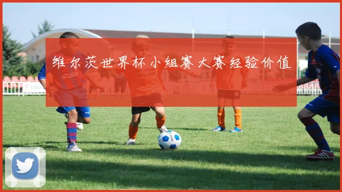 维尔茨世界杯小组赛大赛经验价值