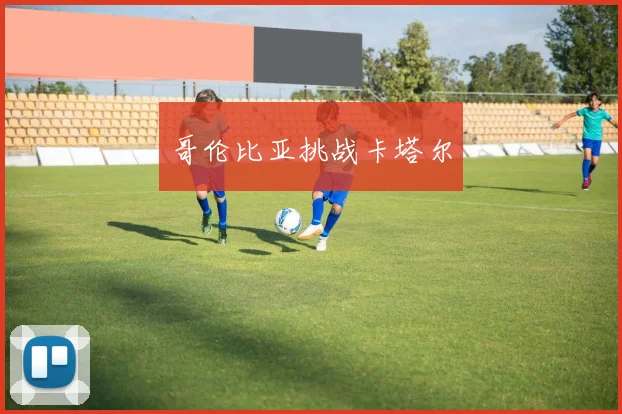 哥伦比亚挑战卡塔尔