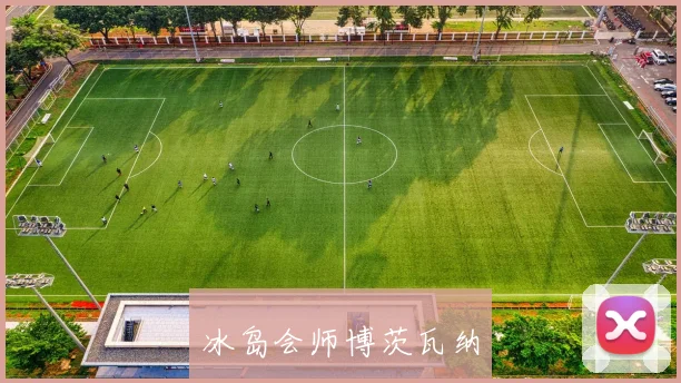 冰岛会师博茨瓦纳