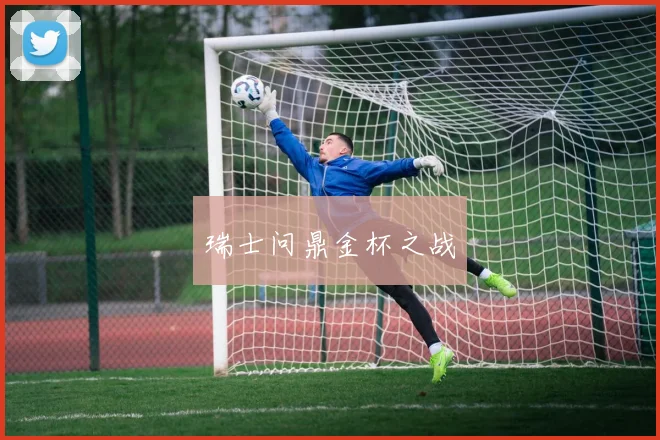 瑞士问鼎金杯之战