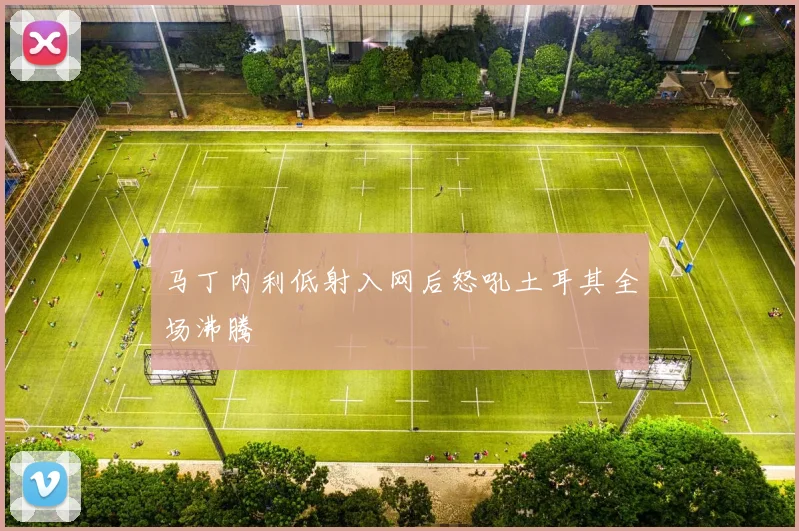 马丁内利低射入网后怒吼土耳其全场沸腾