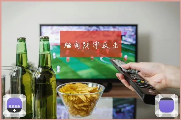 缅甸防守反击