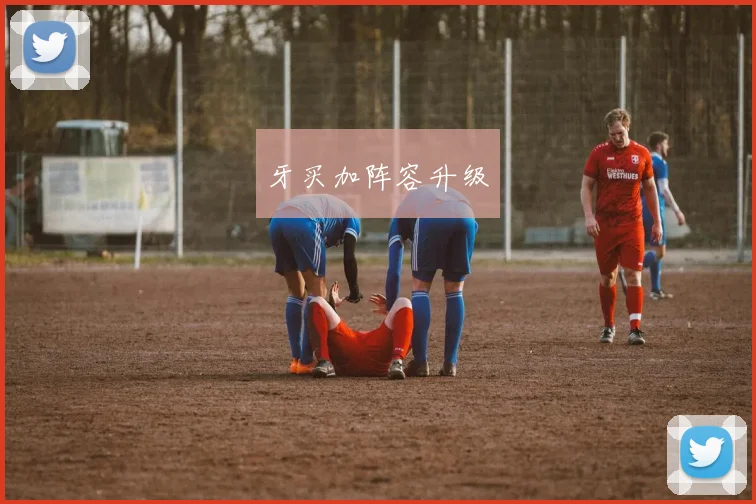 牙买加阵容升级