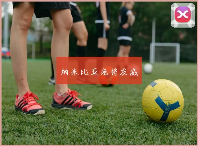 纳米比亚老将发威