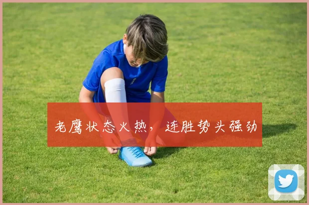 老鹰状态火热，连胜势头强劲