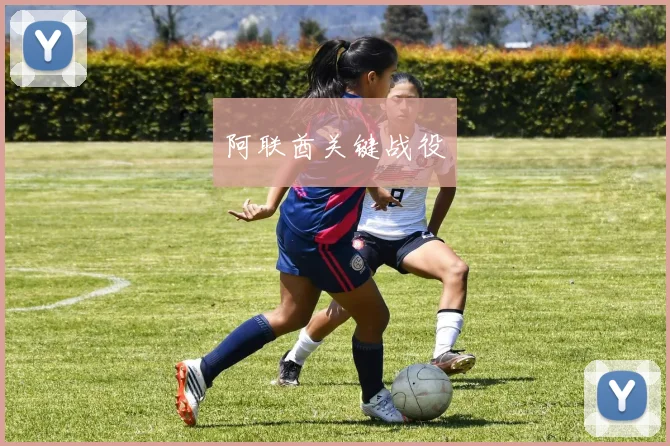 阿联酋关键战役