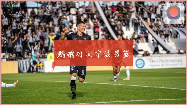 鹈鹕对决宁波男篮