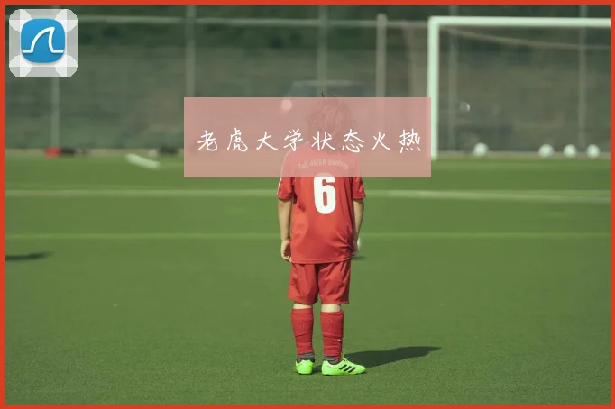 老虎大学状态火热