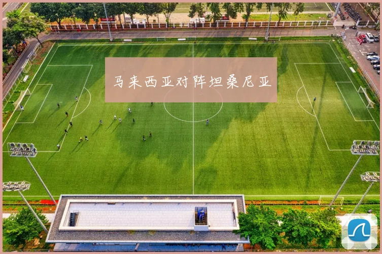 马来西亚对阵坦桑尼亚