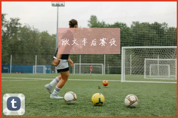 欧文季后赛夜