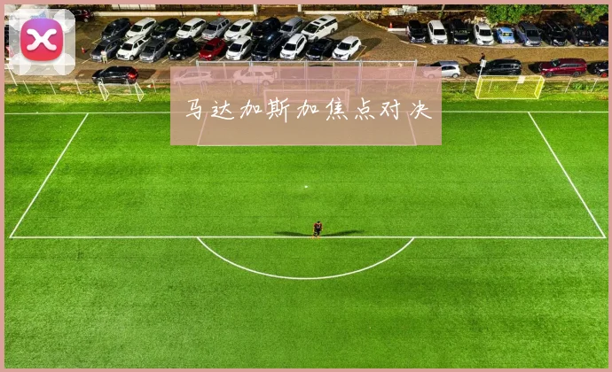 马达加斯加焦点对决