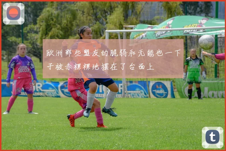 欧洲那些盟友的脆弱和无能也一下子被赤裸裸地摆在了台面上
