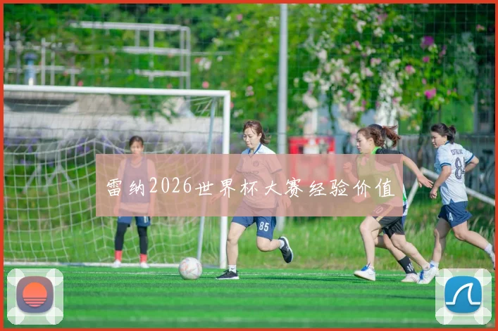 雷纳2026世界杯大赛经验价值