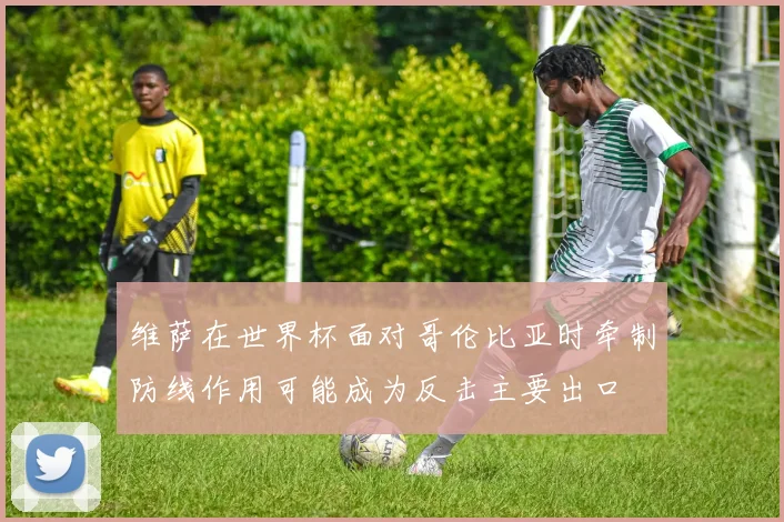 维萨在世界杯面对哥伦比亚时牵制防线作用可能成为反击主要出口