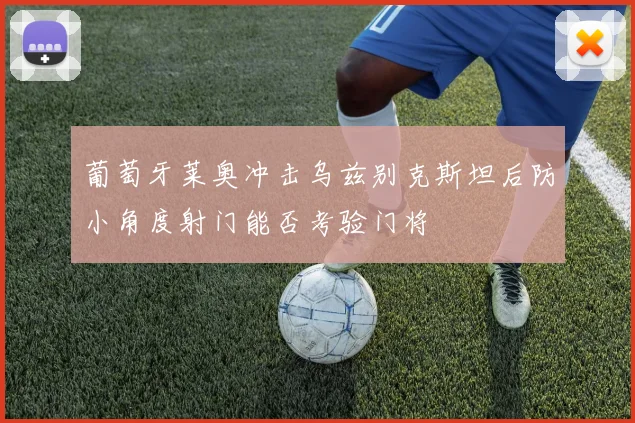 葡萄牙莱奥冲击乌兹别克斯坦后防小角度射门能否考验门将
