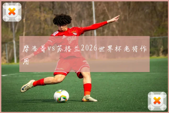 摩洛哥vs苏格兰2026世界杯老将作用