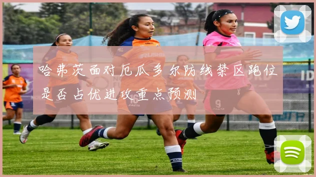 哈弗茨面对厄瓜多尔防线禁区跑位是否占优进攻重点预测