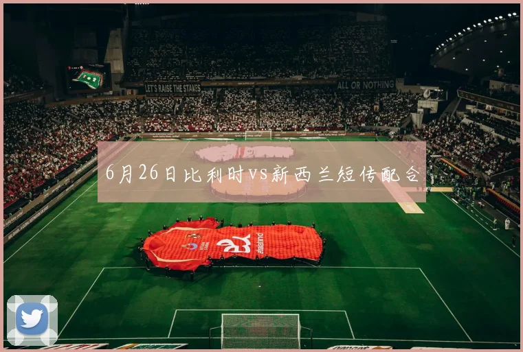 6月26日比利时vs新西兰短传配合