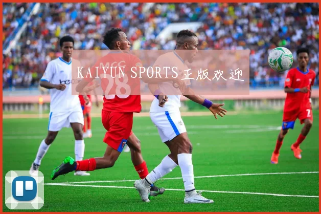 KAIYUN SPORTS正版欢迎