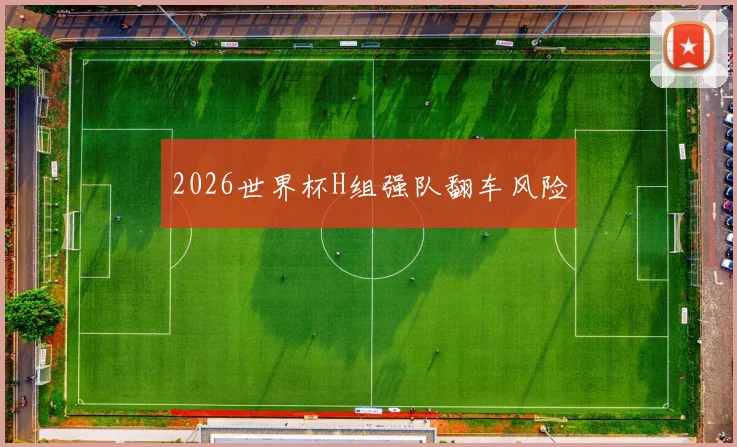 2026世界杯H组强队翻车风险
