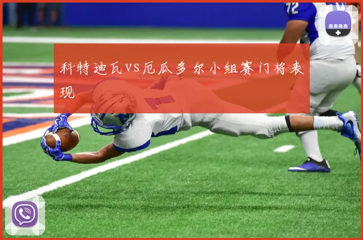 科特迪瓦vs厄瓜多尔小组赛门将表现