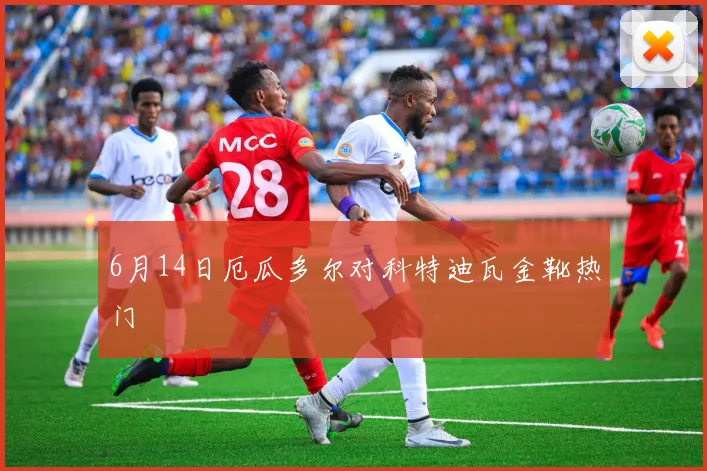 6月14日厄瓜多尔对科特迪瓦金靴热门