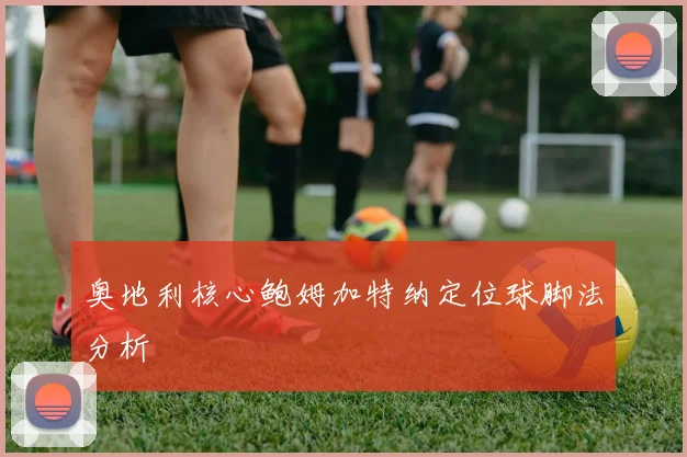 奥地利核心鲍姆加特纳定位球脚法分析